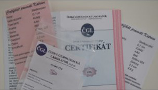Certfikáty Certfikáty
